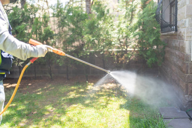 Emergency Pest Control Services in Eastlawn Gardens, PA